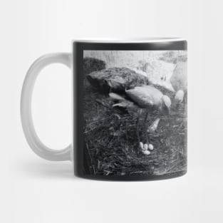 Expecting Nest Mug